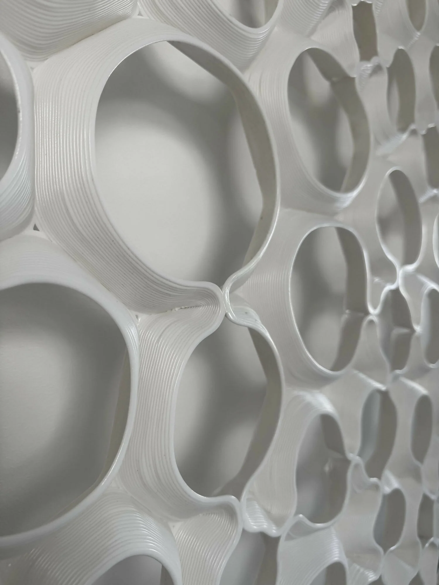 Voronoi Wave Wall Art - Made from Sugarbeet - Image 2