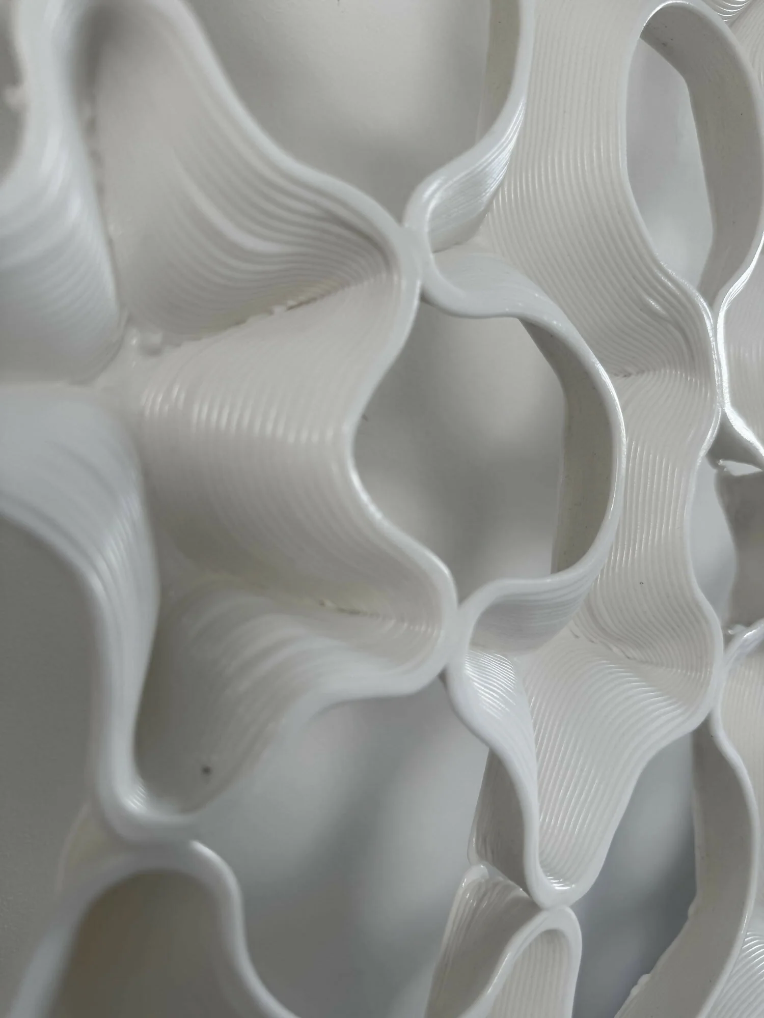 Voronoi Wave Wall Art - Made from Sugarbeet - Image 3
